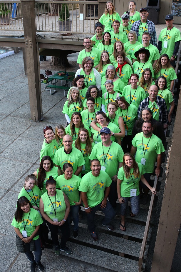 Camp Erin Staff and Volunteers