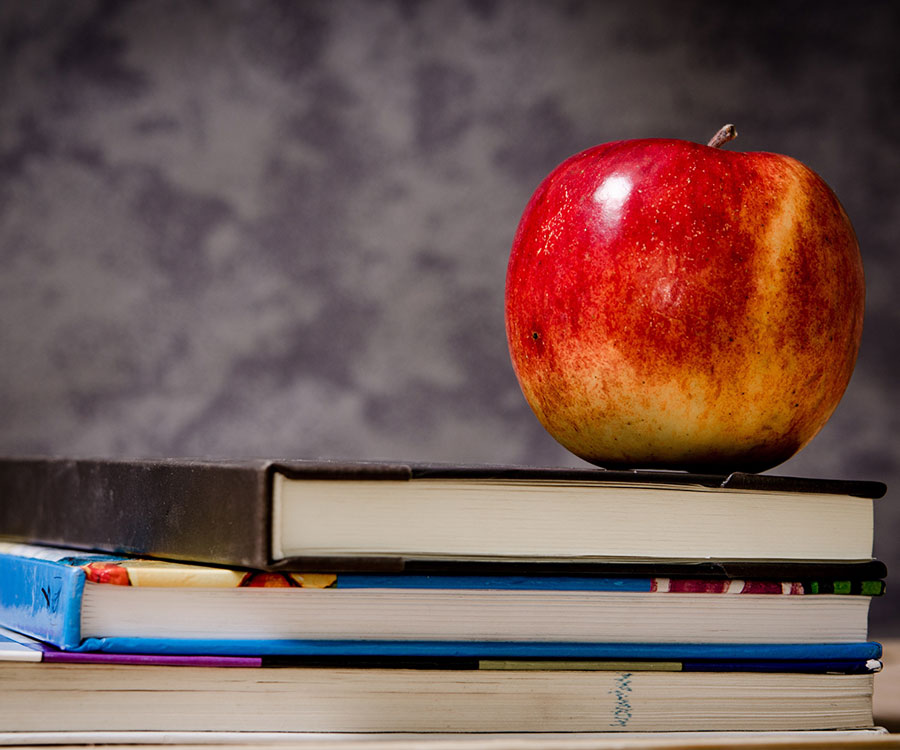 Grief Support for Schools