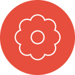 Circle of Care Circle of Care