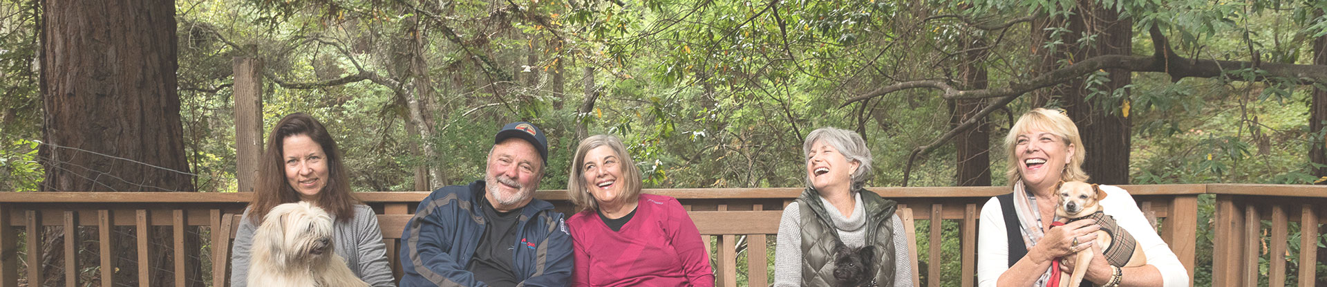group of people sitting on a bench in a forest