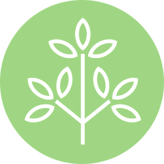 plant icon