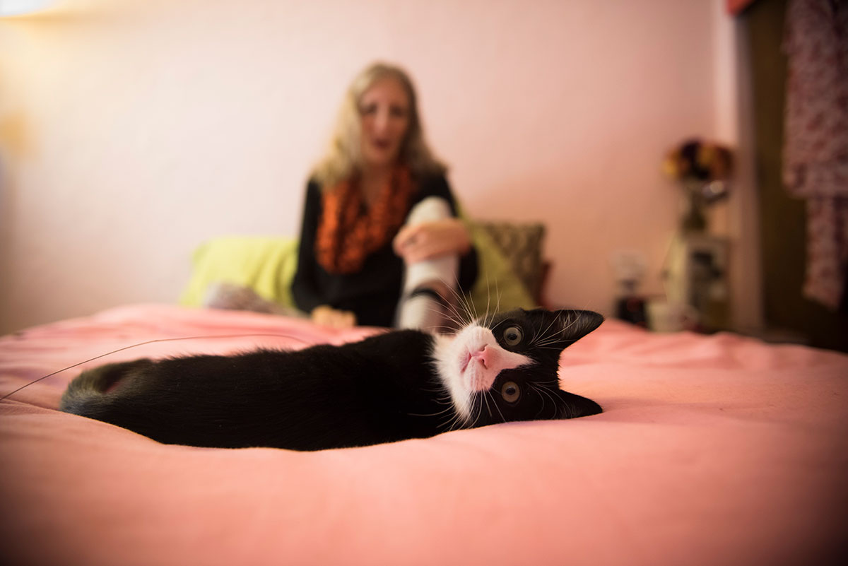 person on a bed with a cat in the foreground