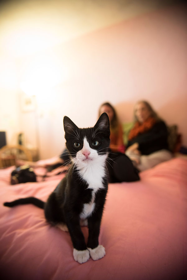 two people sitting on a bed out of focus with a cat in the foreground
